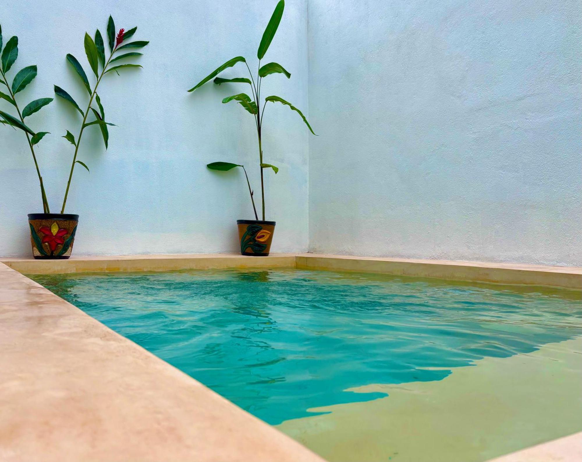Excelente Alberca Privada En Residencial Privado, Gym, Asador Villa Ciudad Valles Exterior foto